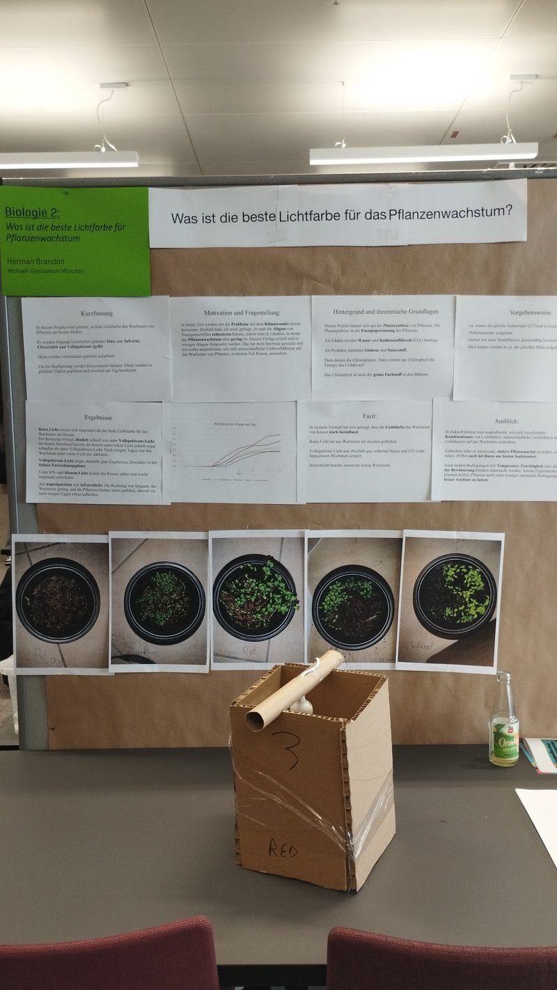 Von KI bis Bioplastik: Unsere Nachwuchsforscher überzeugen bei Jugend forscht