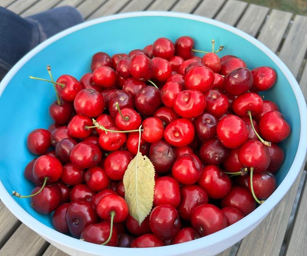 Ruheraum macht Sommerpause