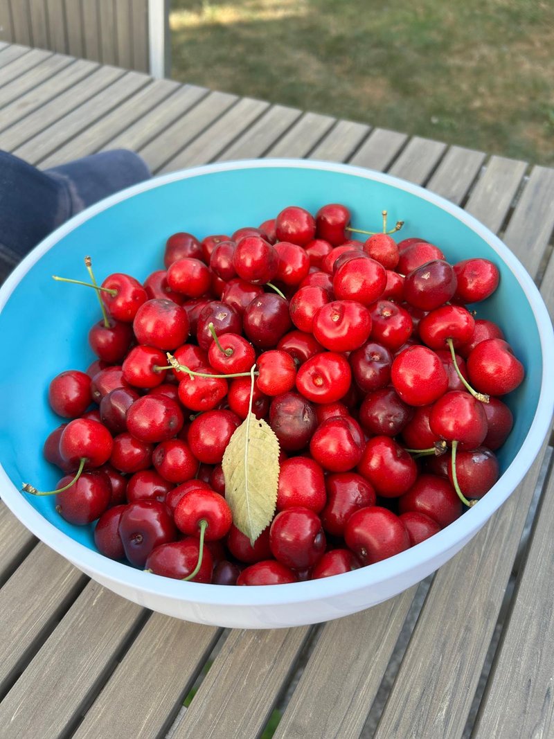 Ruheraum macht Sommerpause